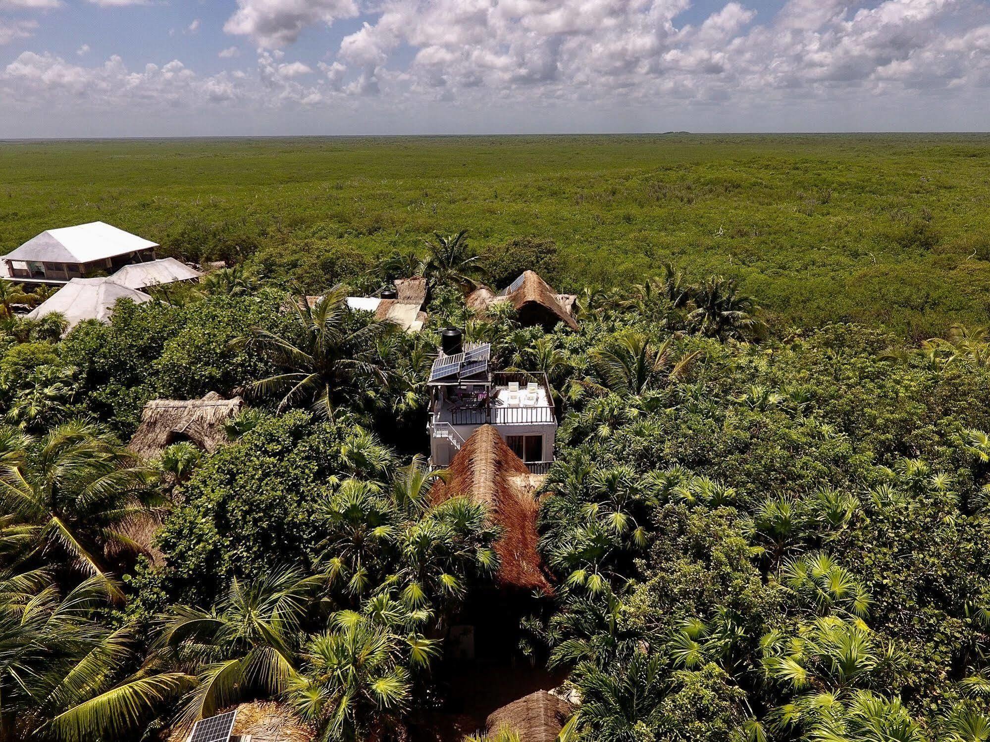 Tuup Jungle Aparthotel