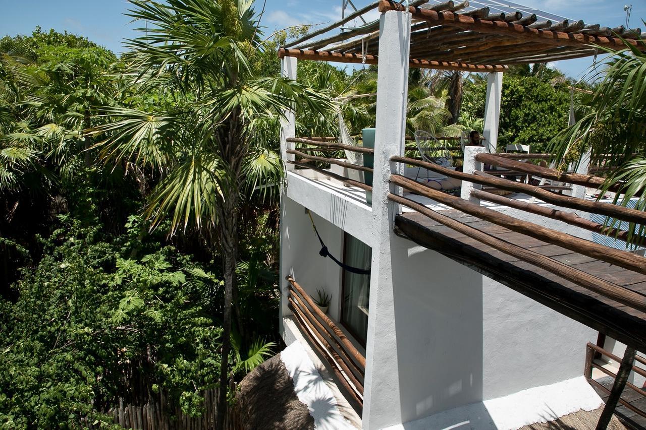 Tuup Jungle